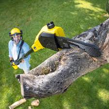 Best Aeration Services  in Orchard Homes, MT